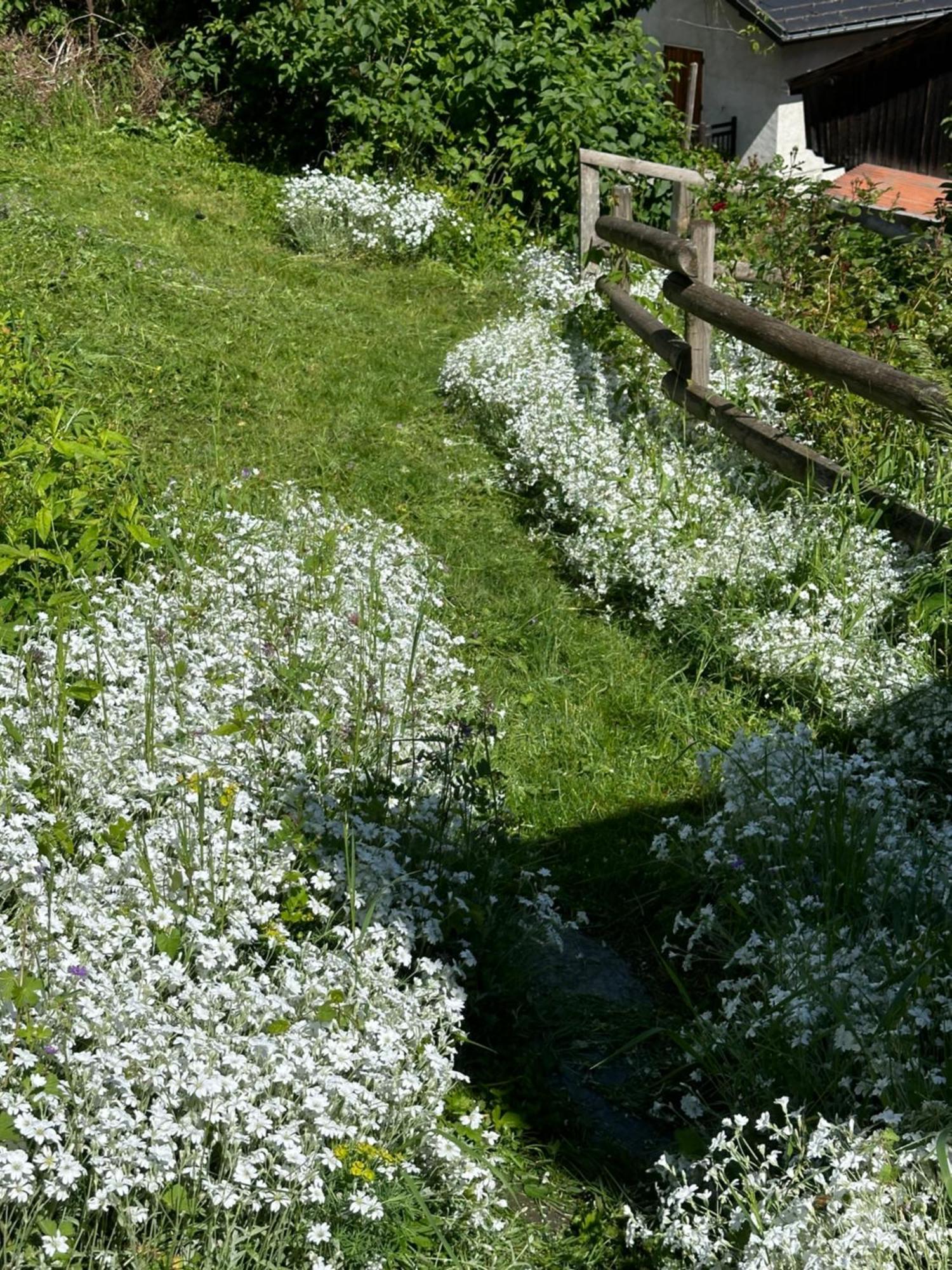Huguette Studio 18M2 Courchevel Dış mekan fotoğraf